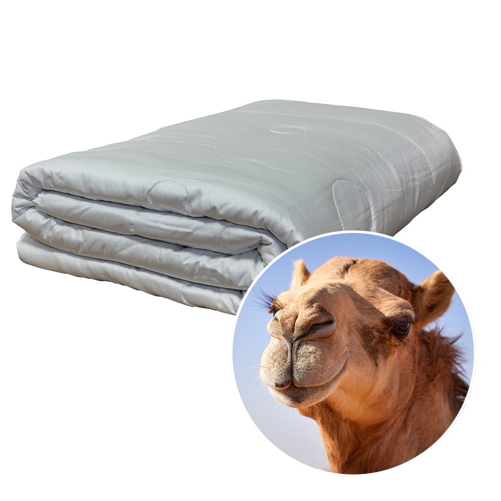Ganzjahresdecke Kamelflaumhaar 360g/m²