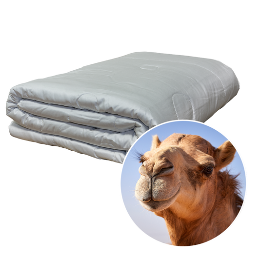 4 Jahreszeiten Zudecke Kamelflaumhaar 250 + 360g/m²